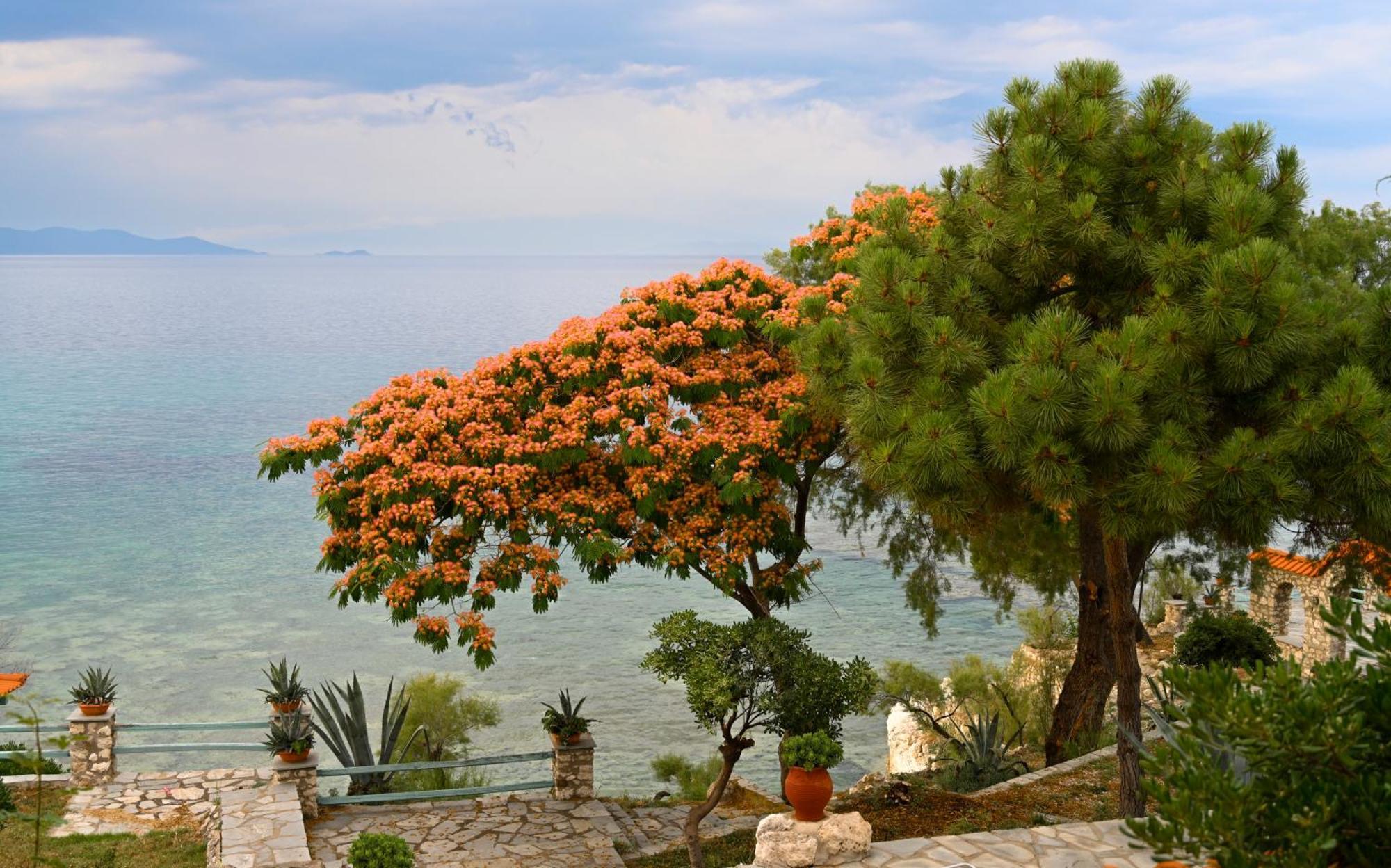 Kiparissi Villa Halkidiki Jeriszósz Kültér fotó